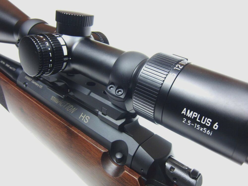 Steel Action	 Steel Action HS HK1 .308Win., Dentler, Leica Amplus 6, 2,5-15x56i