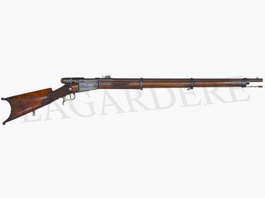 VETTERLI VETTERLI 1869 PRIVE(FUSIL MILITAIRE A REPETITION MANUEL)