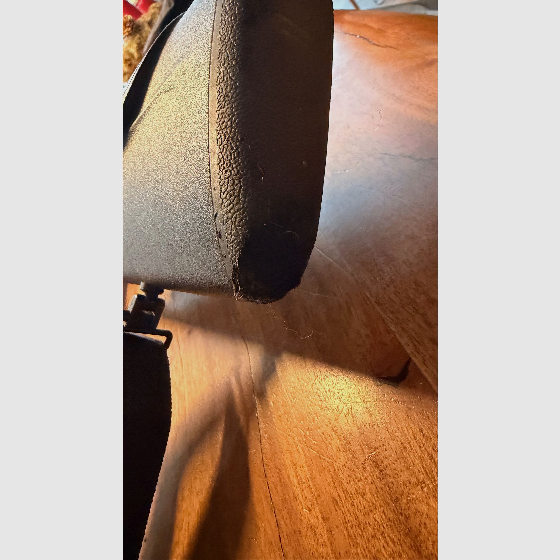 Blaser R8 Professional Succes Leder (braun) in 300 Win Mag