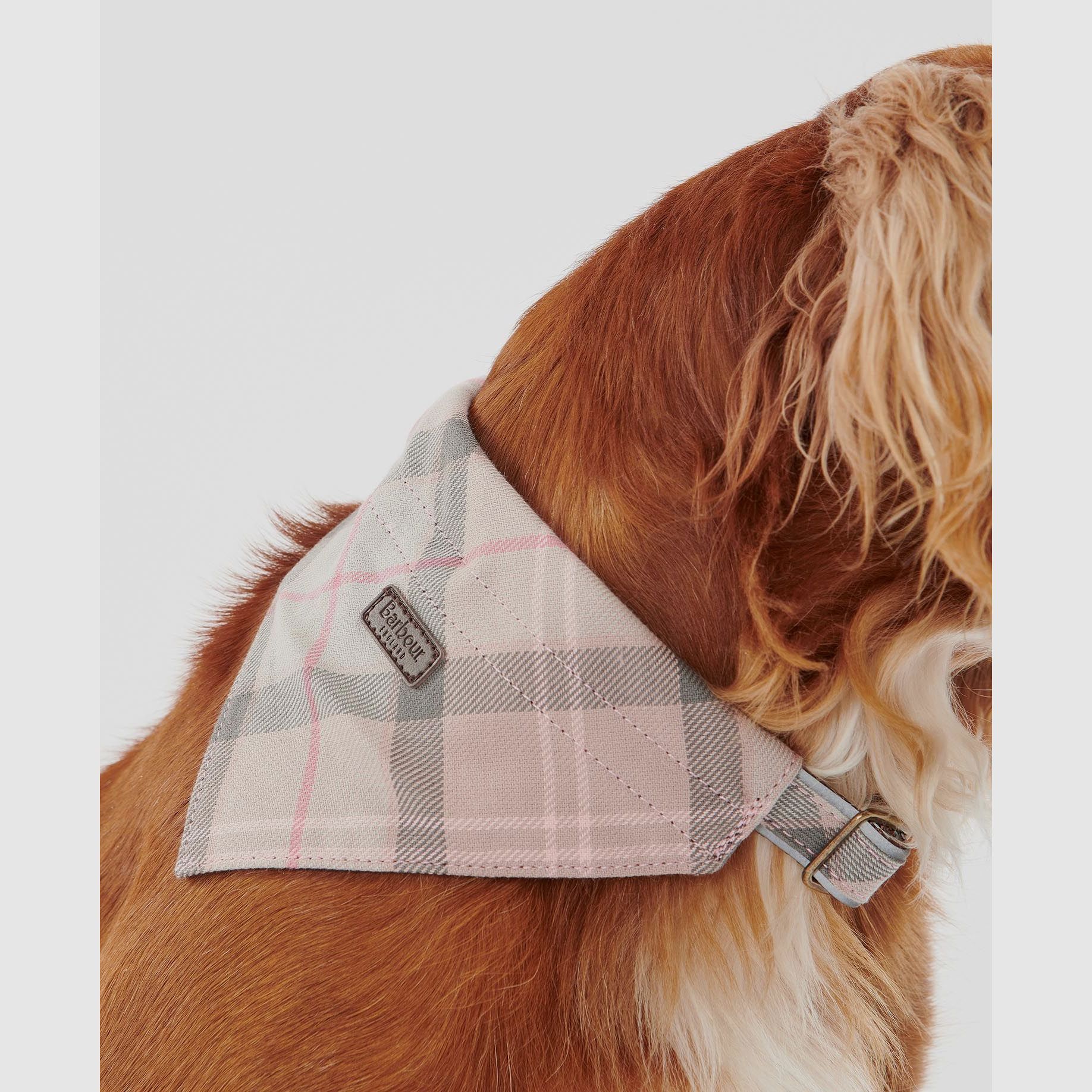 Barbour Tartan Bandana