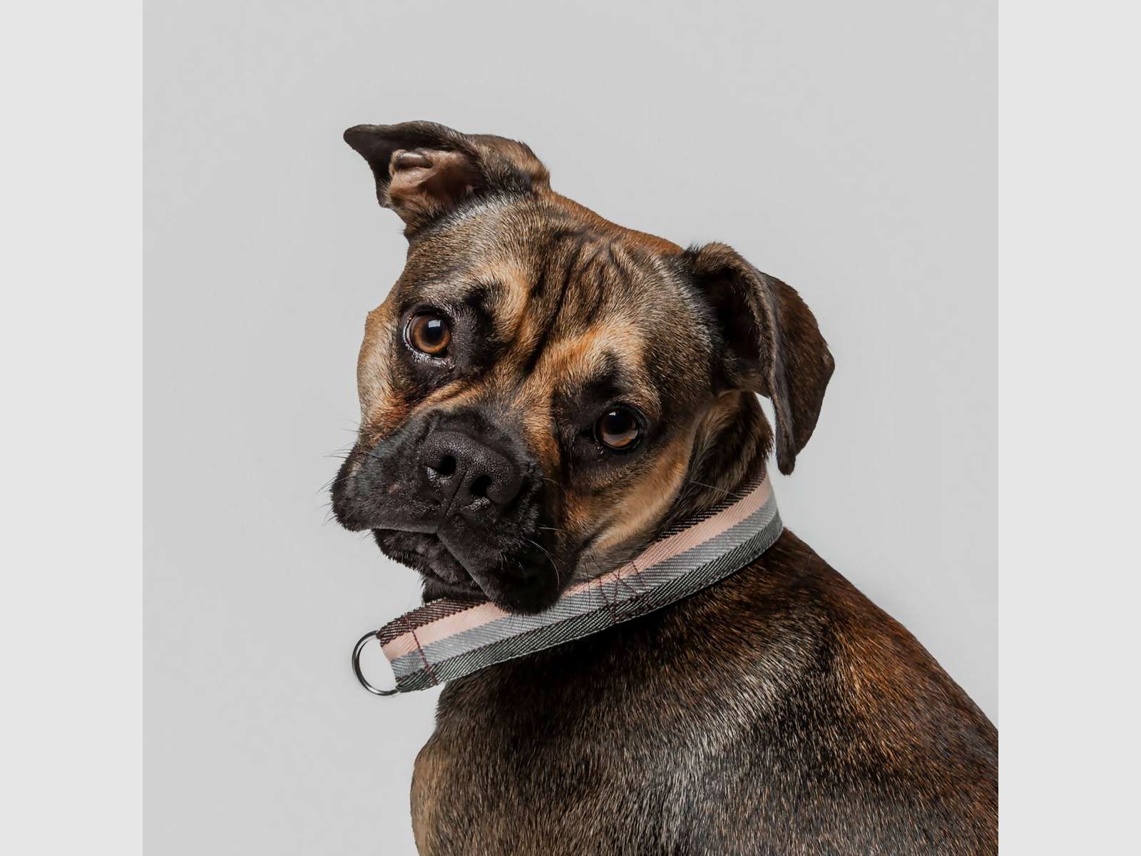 Collar Grace, imagen 4 de 5