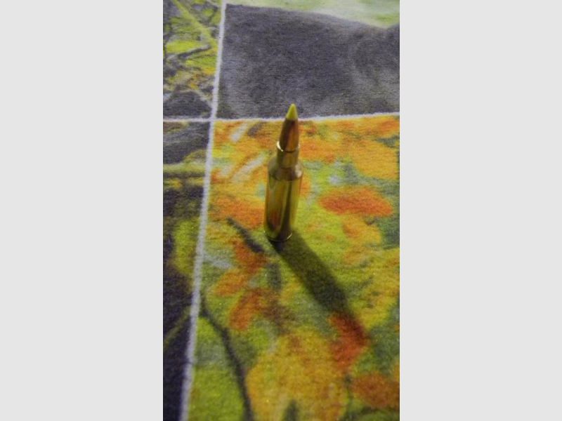 Sologne Nosler BT 270 WSM 150 grains, Bild 3 von 3
