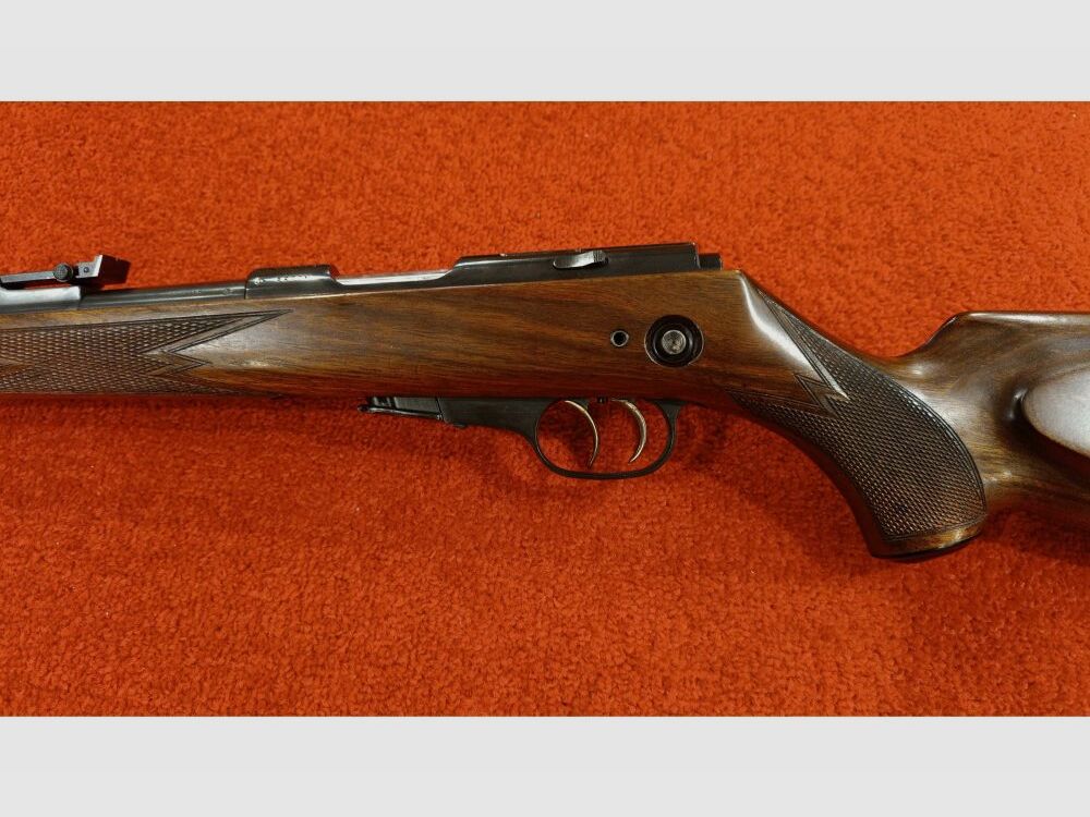 Walther ohne .22lr