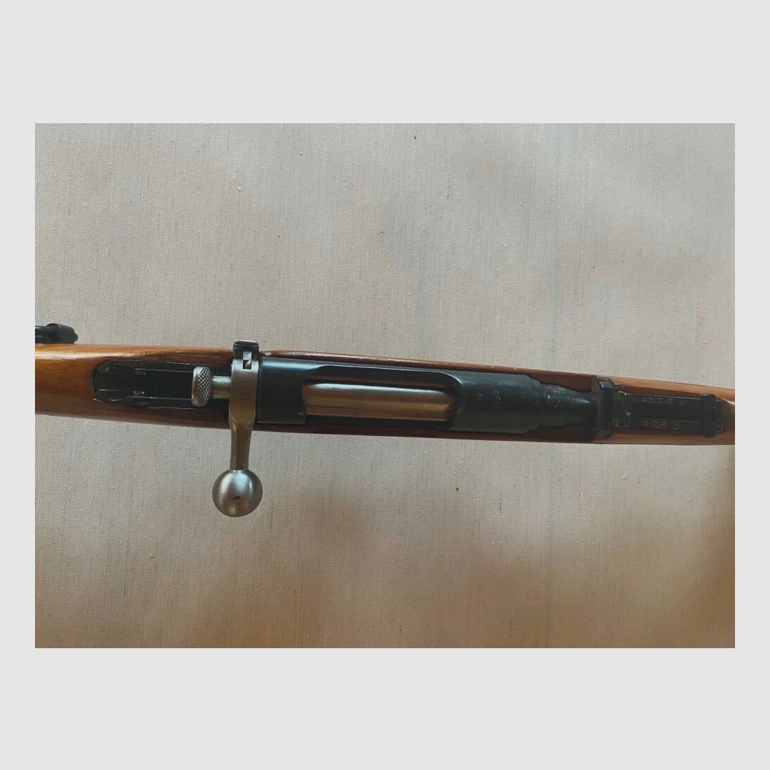 Steyr M95