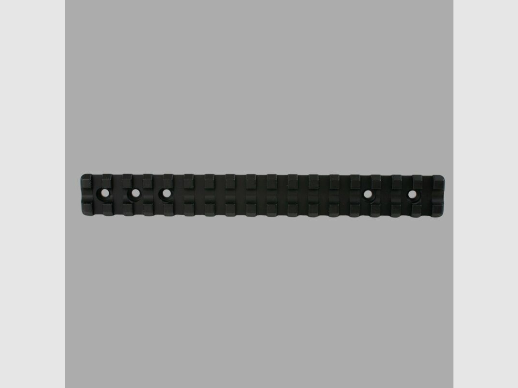 Rifle Doc Picatinny Weaver STAHL Schiene für SLB 2000