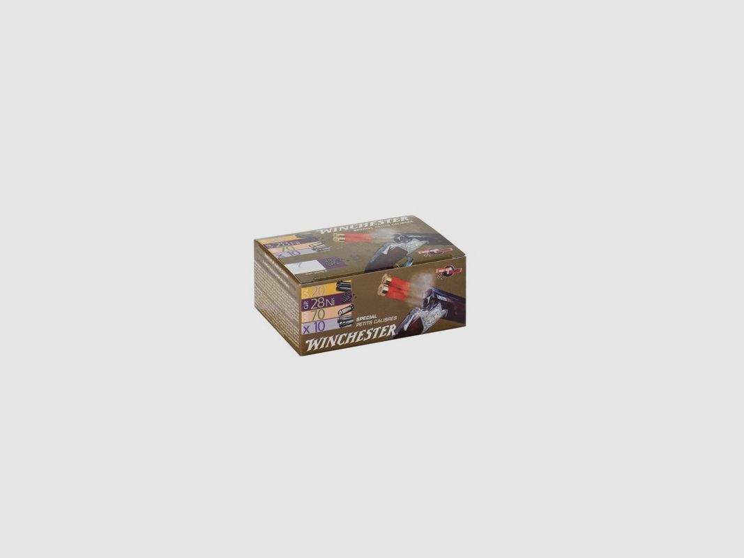 DOOS VAN 25 PATRONEN WINCHESTER 20-70 SPECIAL KLEIN KAL 16MM/28G PB4NI, afbeelding 2 van 2