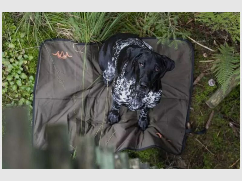 Coperta per cani Blaser HuntTec, immagine 2 di 2