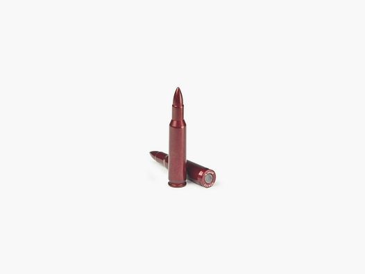 AZOOM Zündhütchen Kal. 222 REMINGTON 2St.