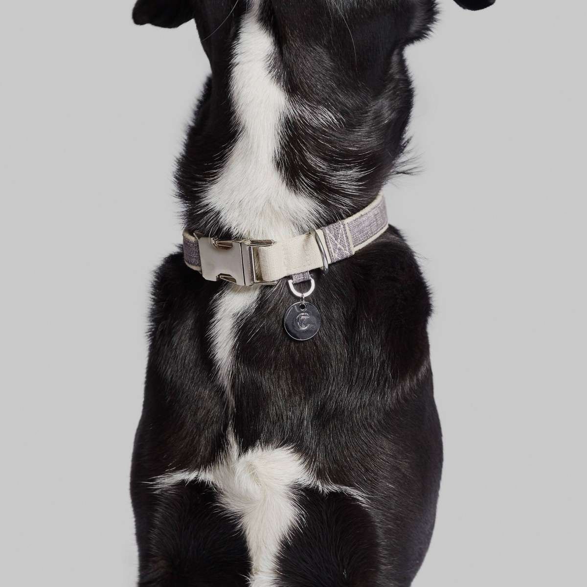Halsband Coco, Bild 5 von 5