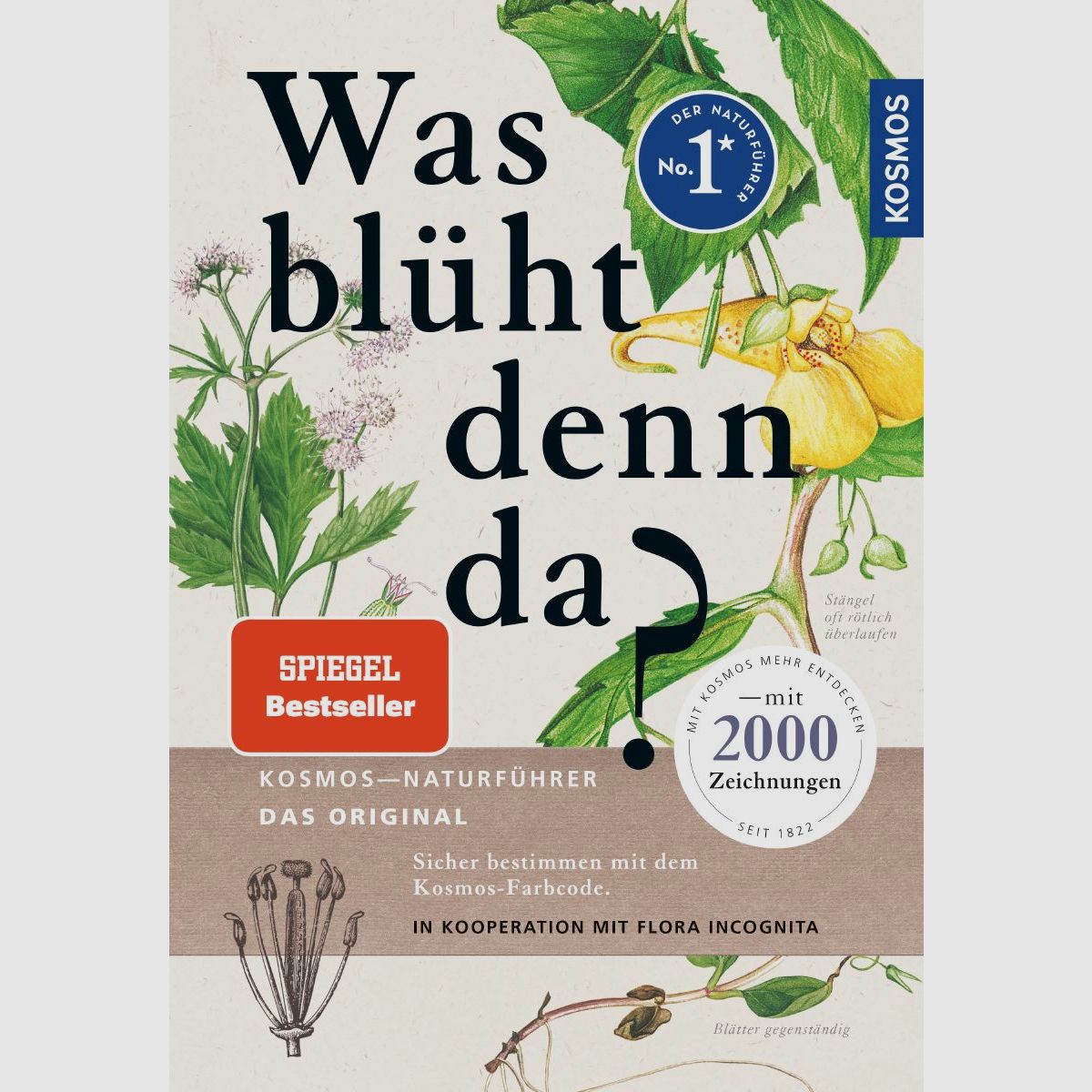 Kosmos Was blüht denn da? Margot Spohn