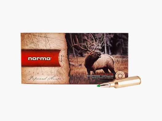 .300 WSM Ecostrike 9,7g/150grs. Norma