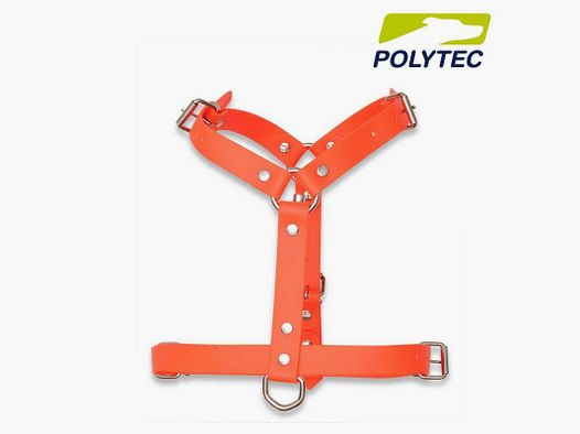 Arnés Ajustable "Polytec" 25mm