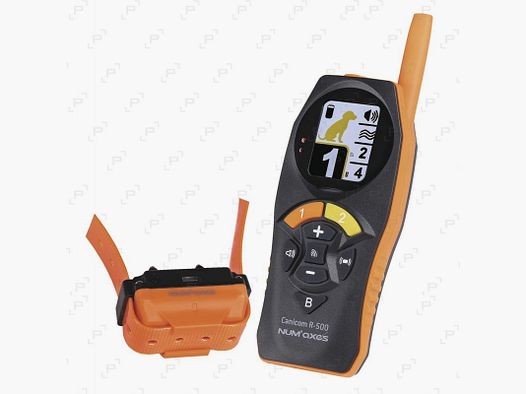 Pack de collar de adiestramiento NUM’AXES CANICOM R-500