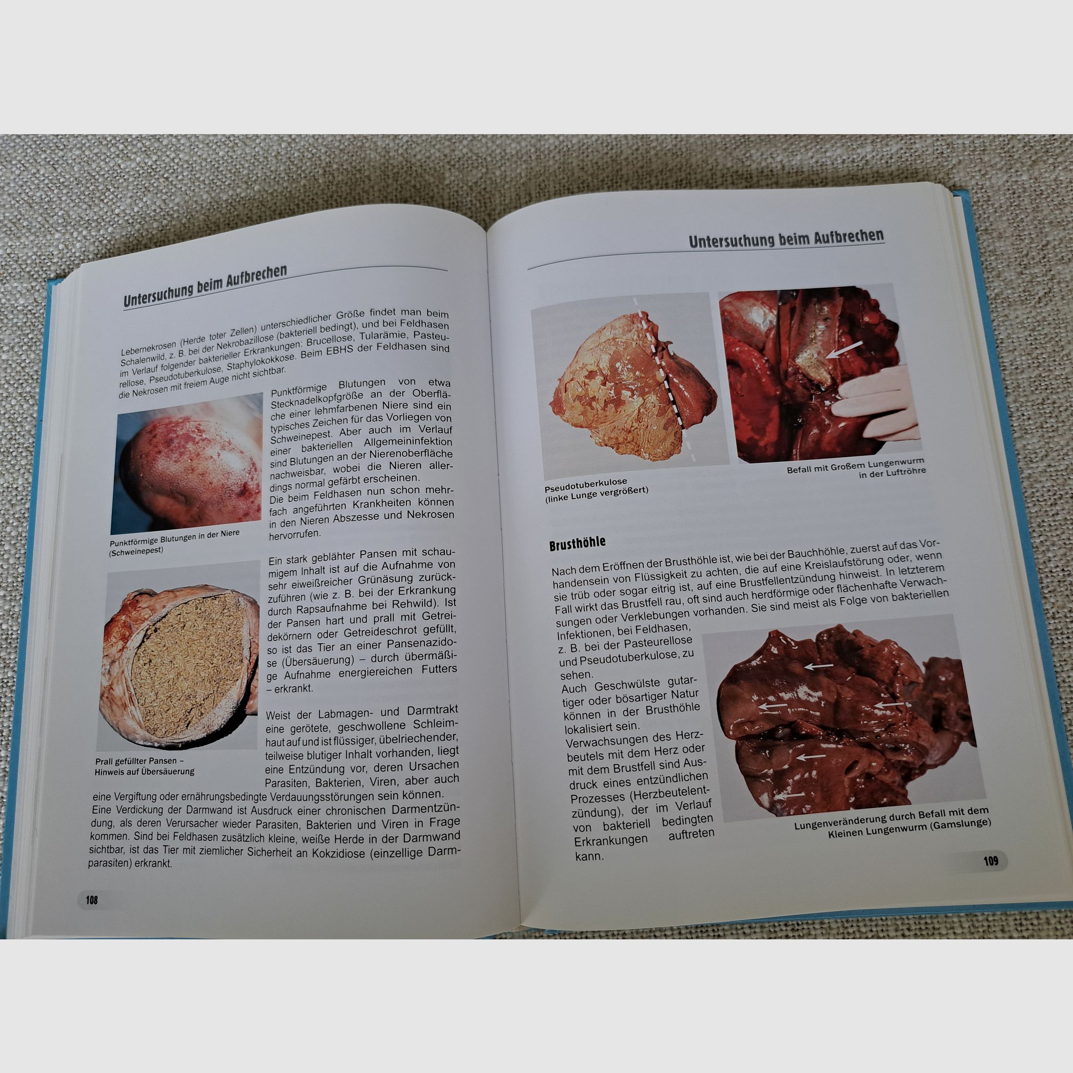 Igiene della carne selvatica (di Winkelmayer/ Paulsen/ Lebersorger/ Zedka)
