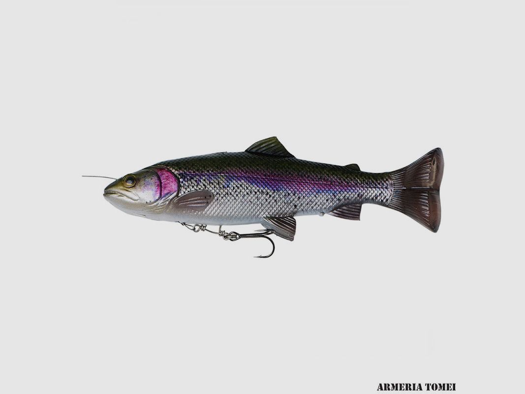 SAVAGE GEAR – 4D LINE THRU PULSE TAIL TROUT 16cm – 6 1/3″ 51g-1 4/5 oz SLOW SINK Rainbow Trout
