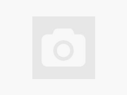 Mil Tec Sac de Fusil d'Assaut - Étui pour Fusil 120 cm