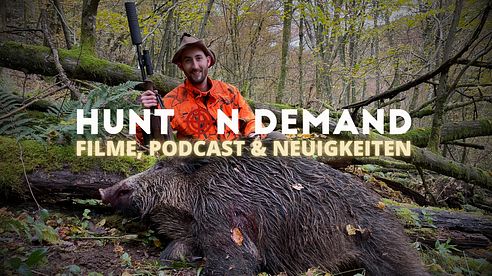 Filme, Podcast & Neuigkeiten!