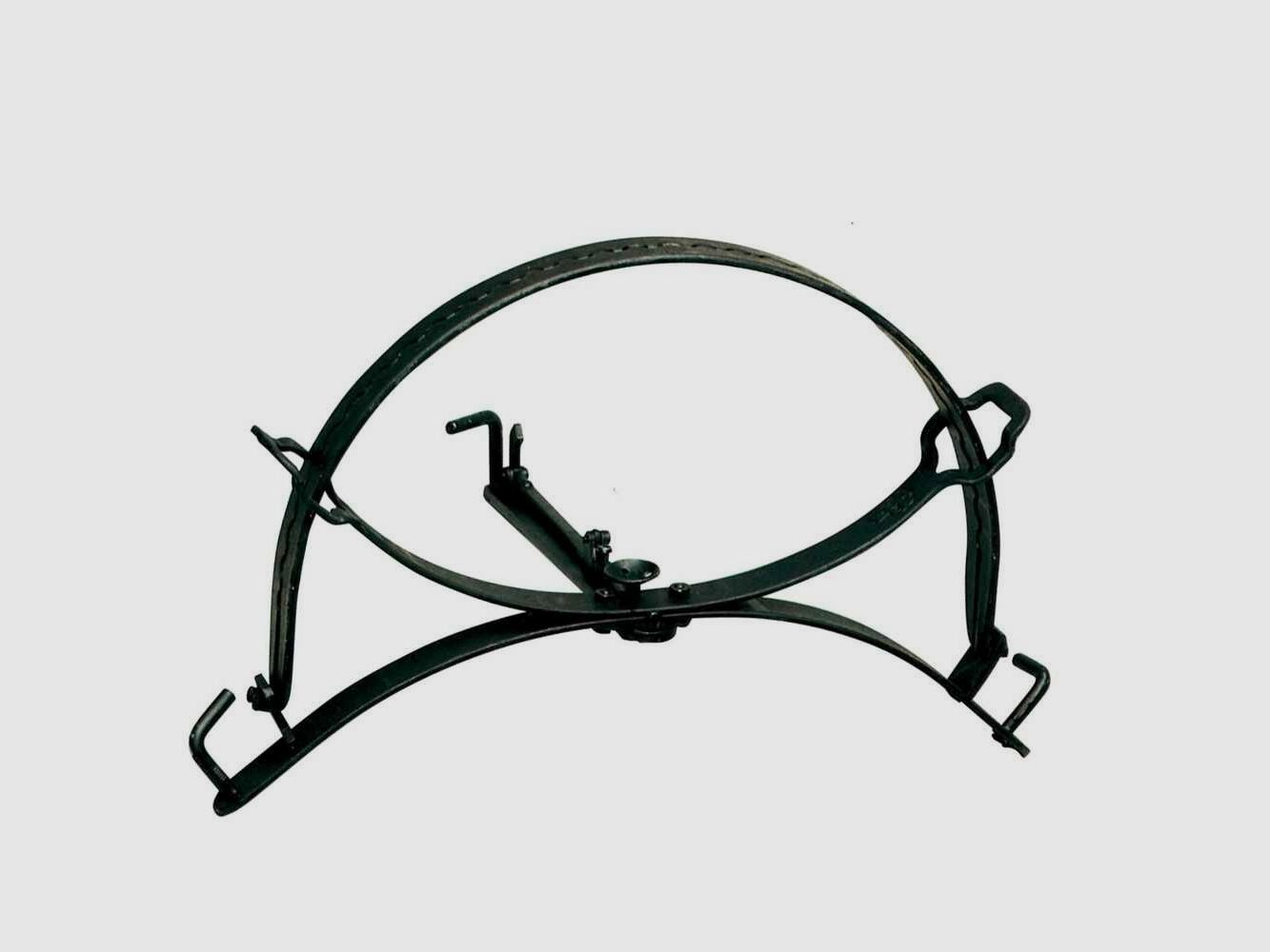 Schwanenhals Weißer