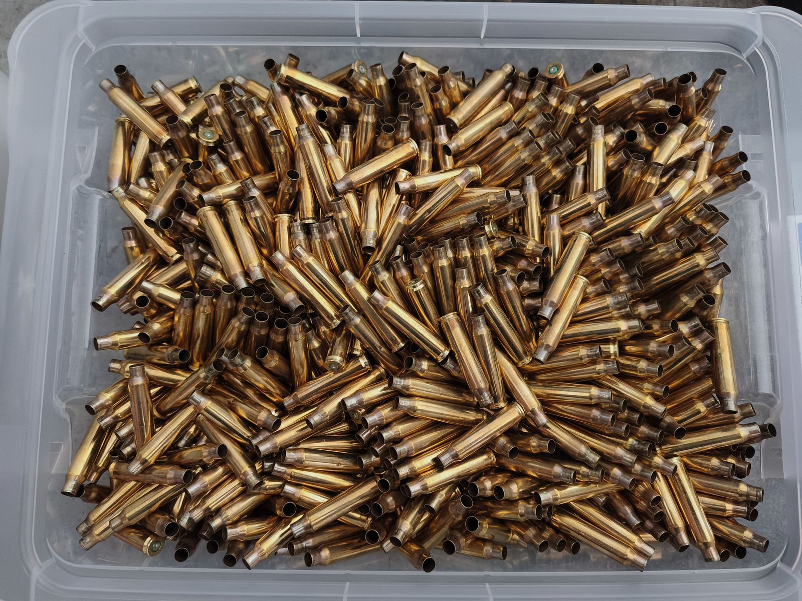 Patronenhülsen - Messing - 9mm Luger, .223 Rem - poliert, einmal verschossen