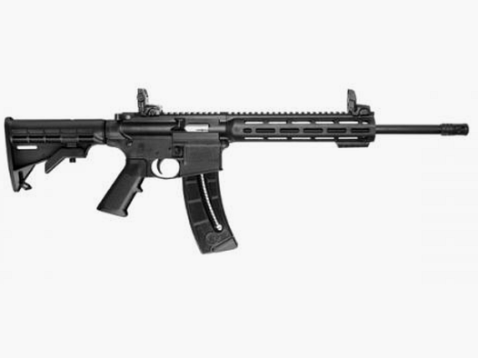 Smith and Wesson M&P15-22 Sport .22LR