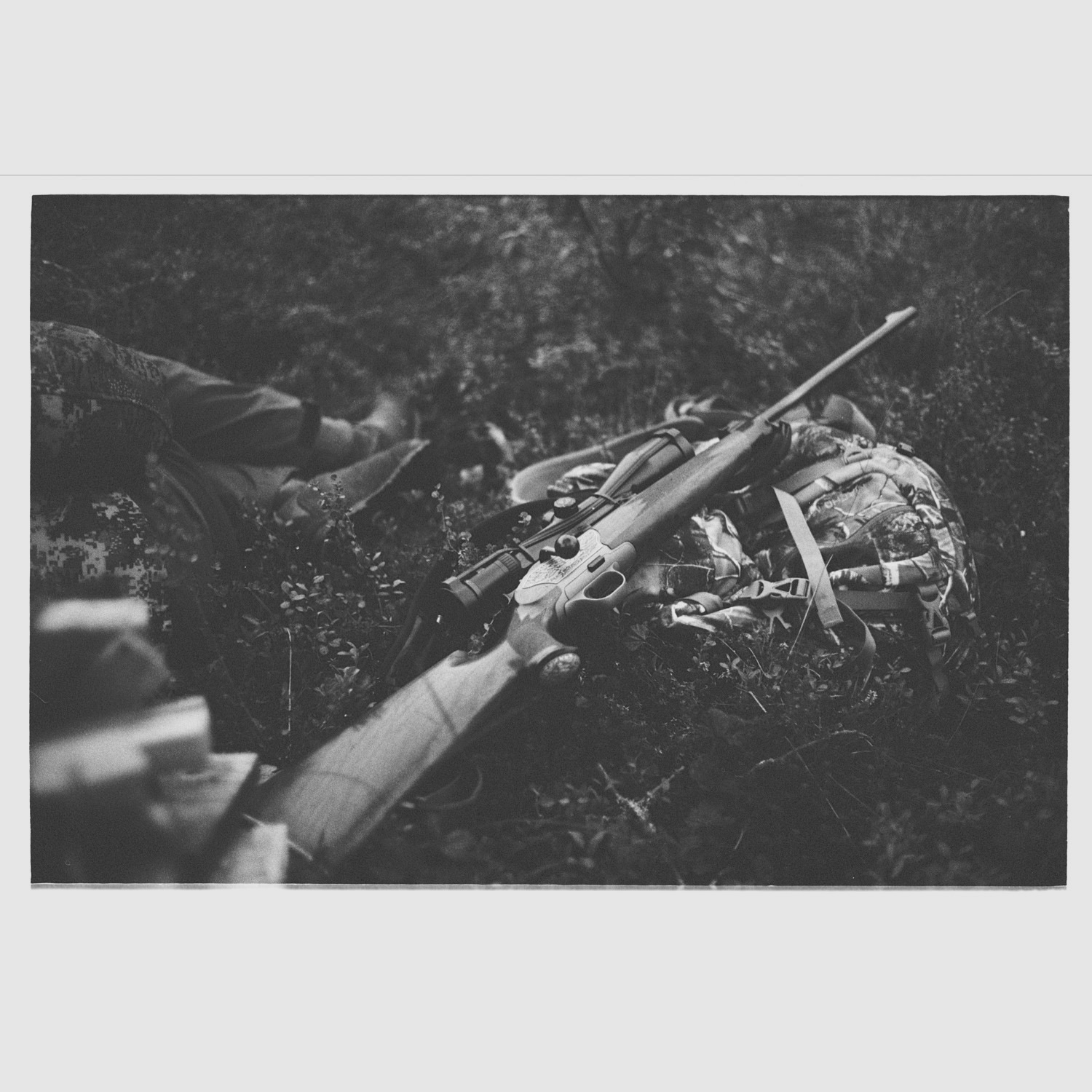 Blaser R8 Luxus Sondergravur – 10,3x60R – Zeiss Victory HT 3-12x56