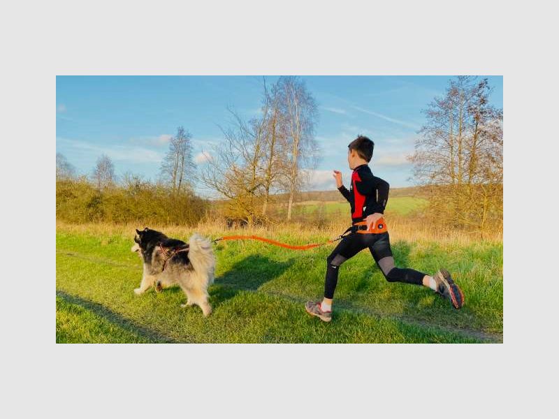 I-DOG canicross hip belt ONE LIGHT, image 12 of 12