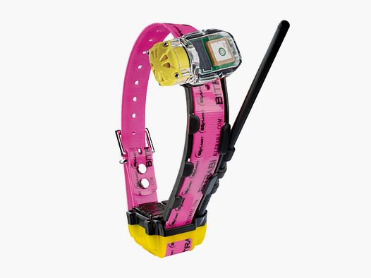 GPS GSM-Halsband für Jagdhunde BITRABI MITO 5300 Beeper