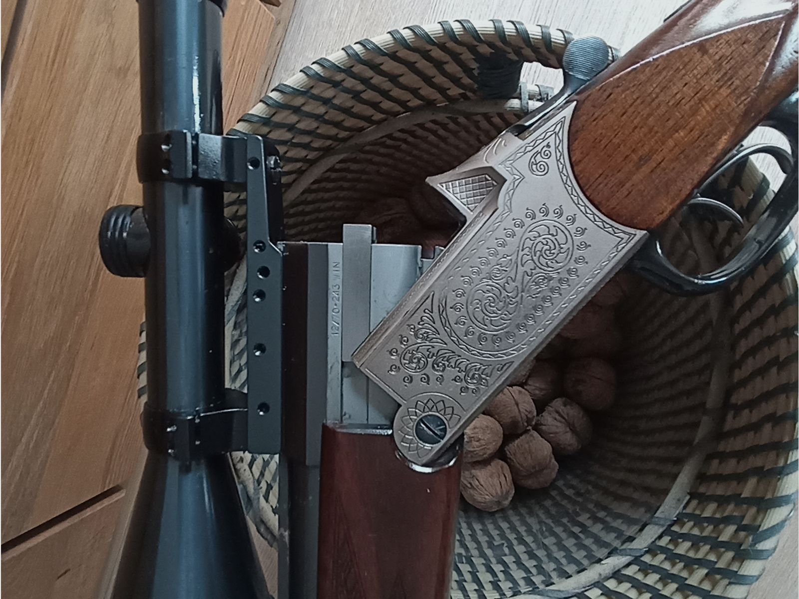 Blaser es 67