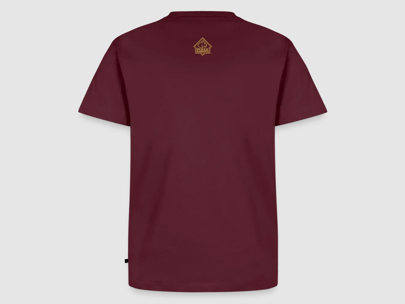 PUMA Heren Premium T-Shirt "Forever Survival", afbeelding 14 van 33