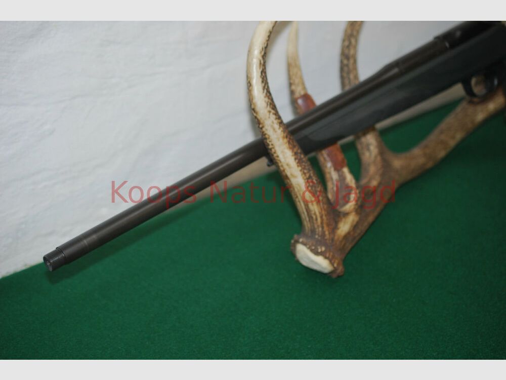 Blaser R8 Professional Success