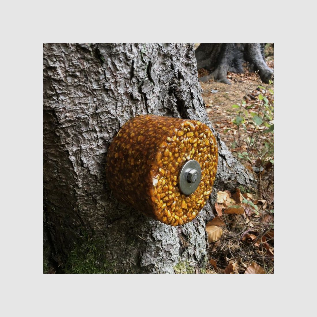 Wildlutscher Schraubenset für Baumbefestigung