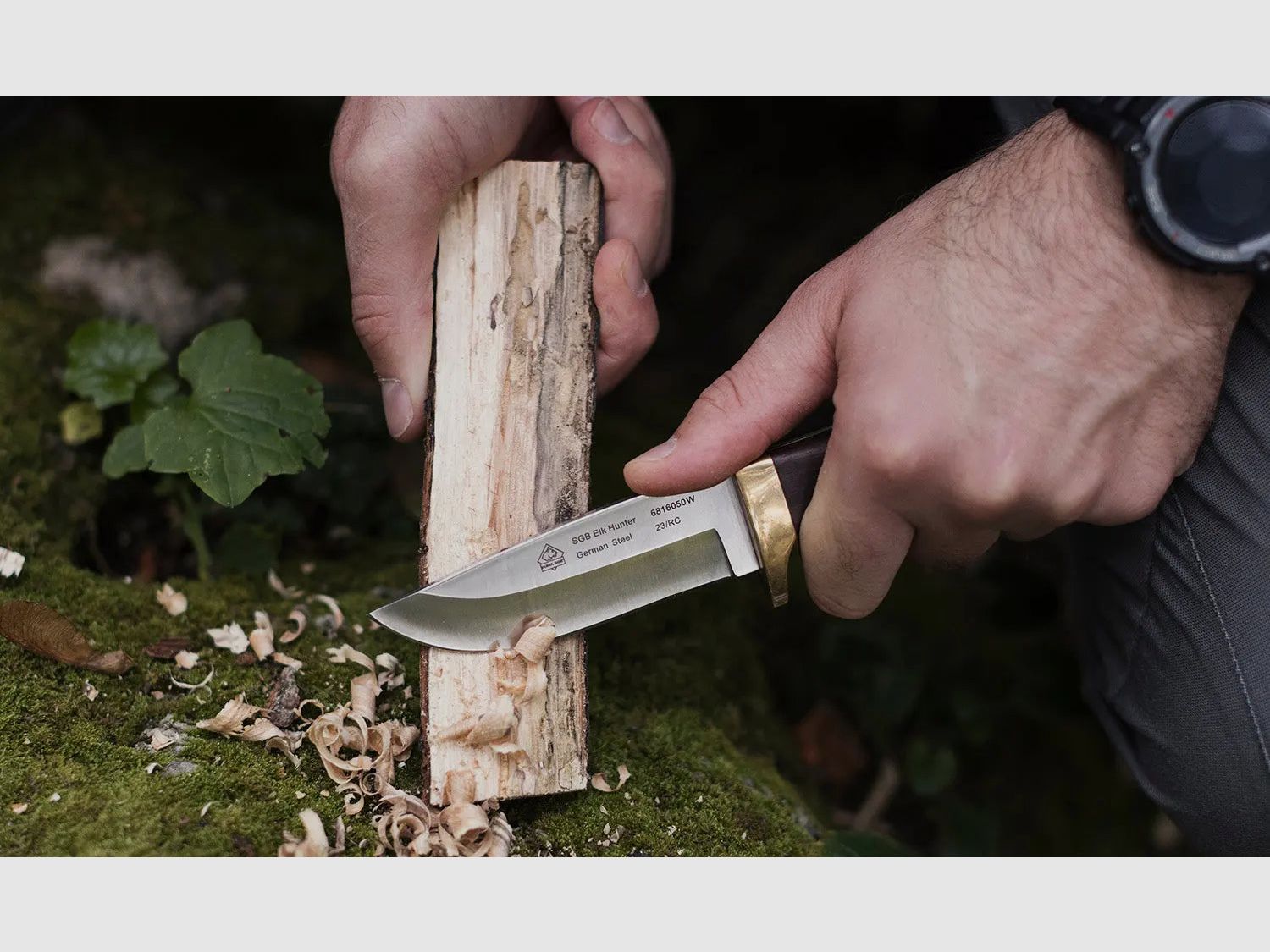 Puma SGB elk hunter, Jacaranda-Holz