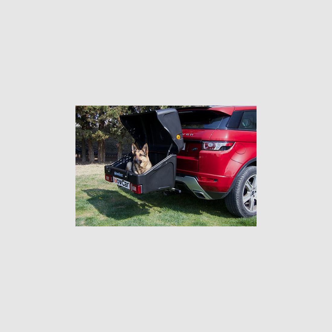 TowBox Cane V1, immagine 5 di 8