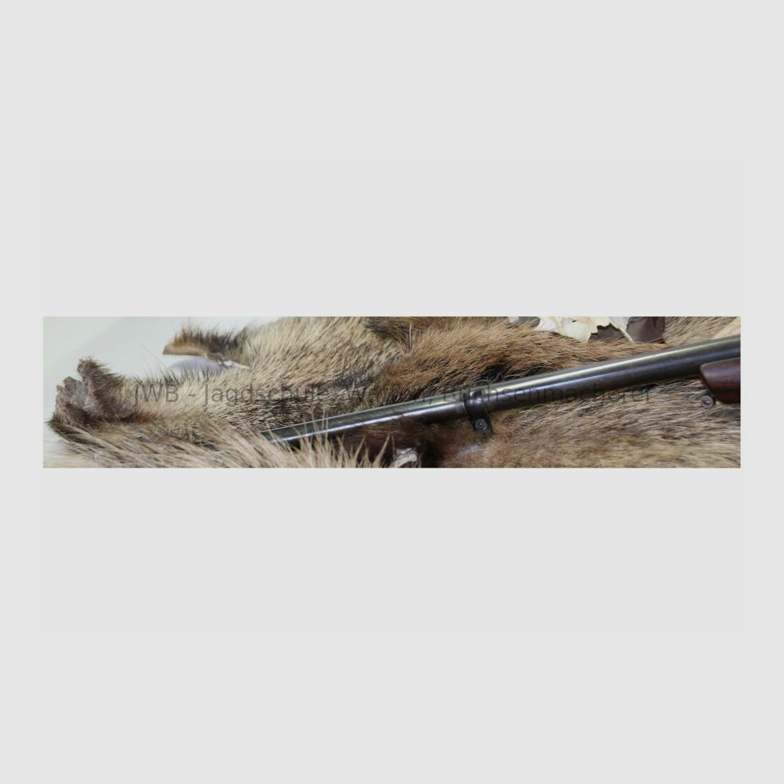 Sauer & Sohn 80 mit Zeiss Diavari .300WinMag