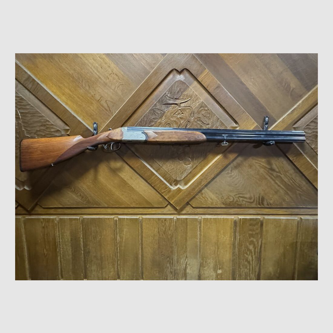 Rottweil Pheasant 12/70