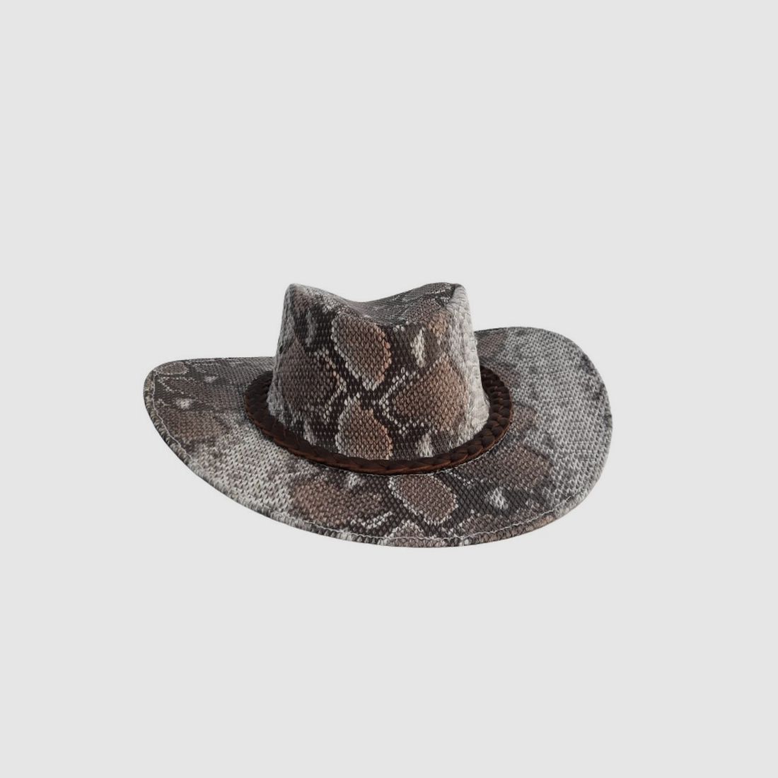 Chapeau Python, image 1 sur 3