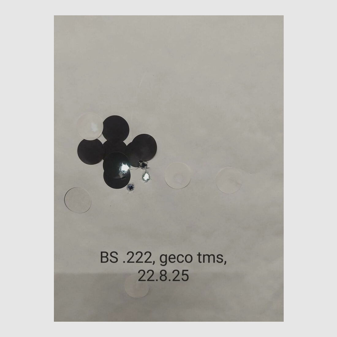 Blaser BS 95 with Steiner Ranger