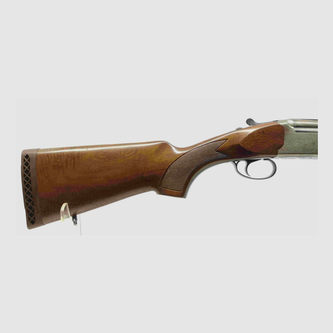 Kettner Campione