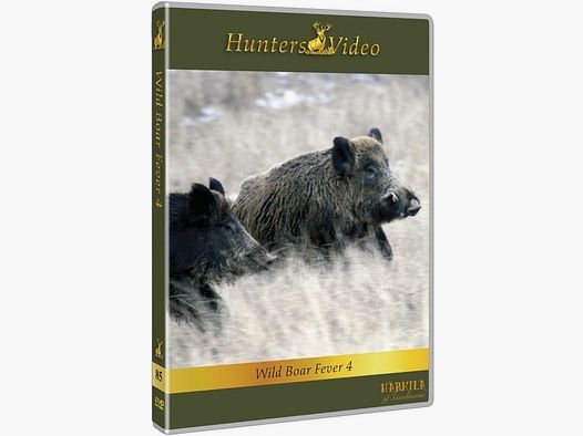 Wildschweinfieber 4