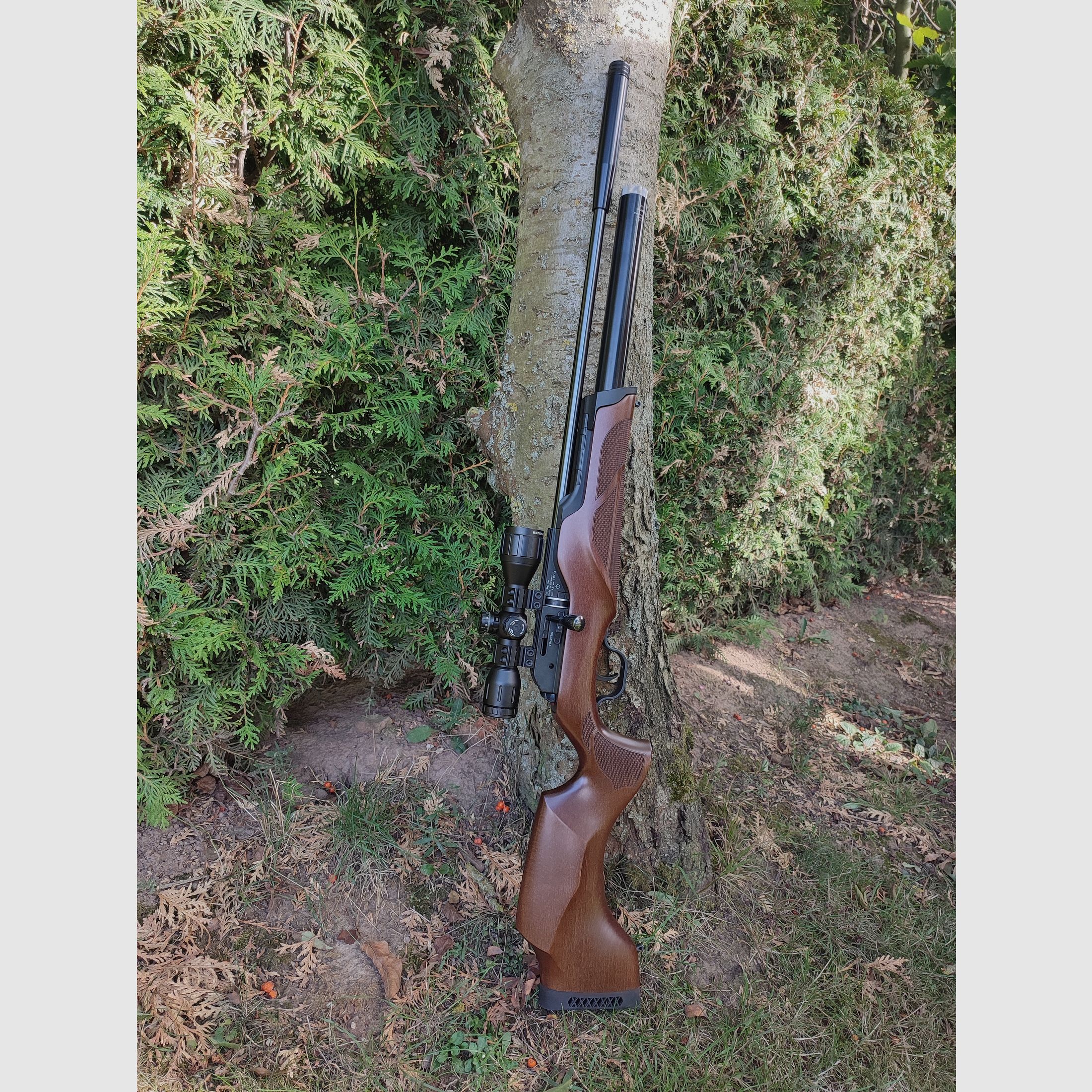Walther Torminathor 4.5mm Diabolo F air rifle PCP