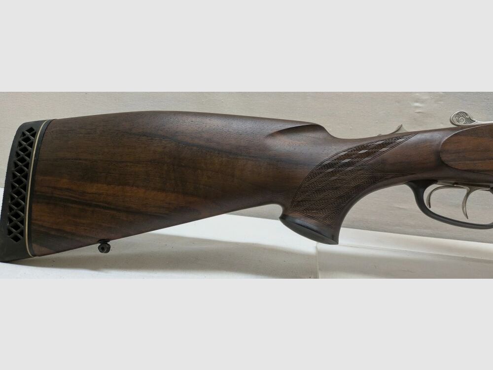 Blaser 95