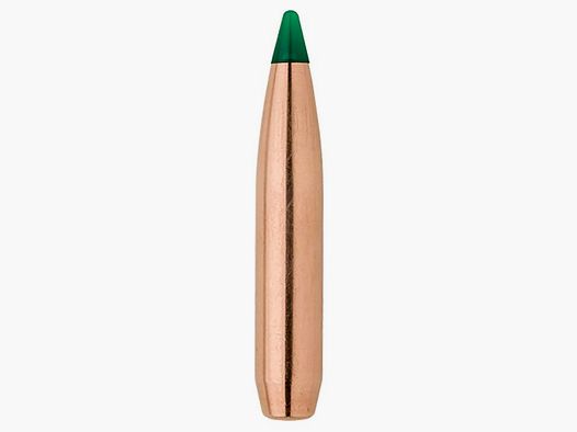 Sierra Geschoss .270/.277 175GR Tipped Game King Game Changer BT 100 Stück