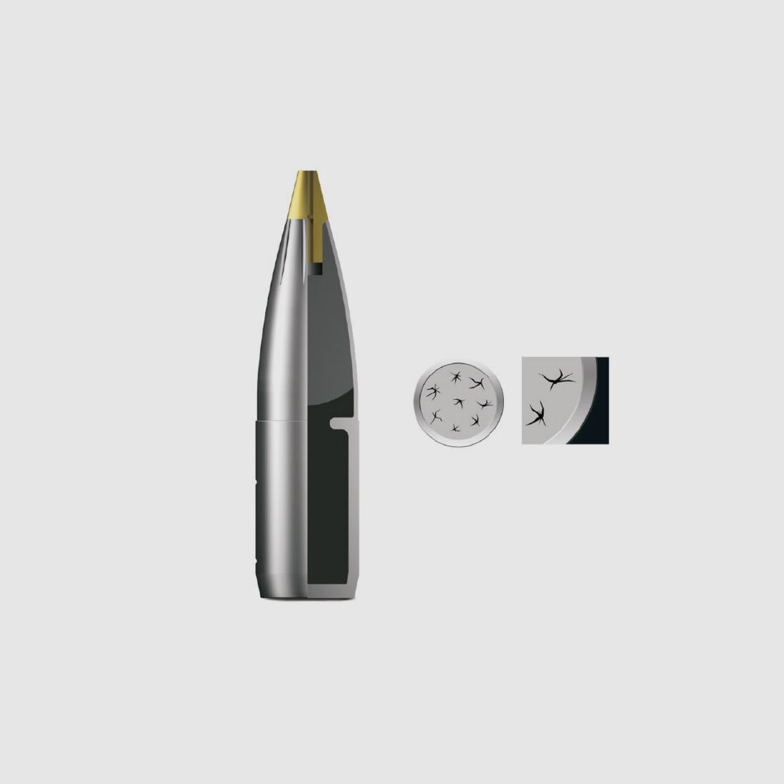 RWS Evo Green Short 139grs 20St .30-06Spring