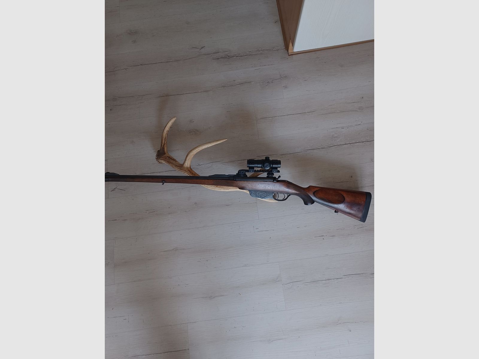 Büchse Steyr