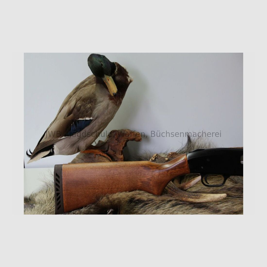 Mossberg ATB 85 12/70