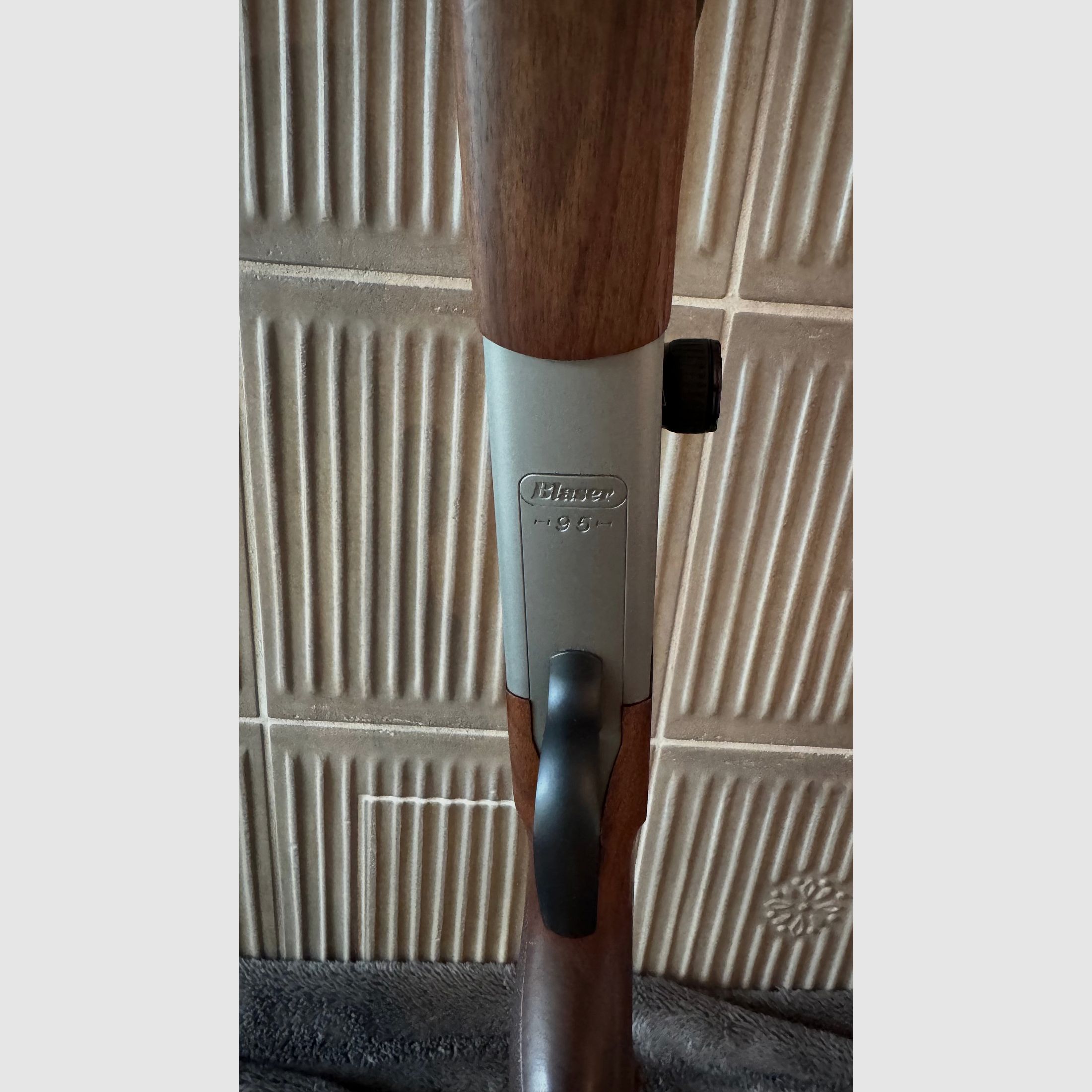 Blaser BS95 