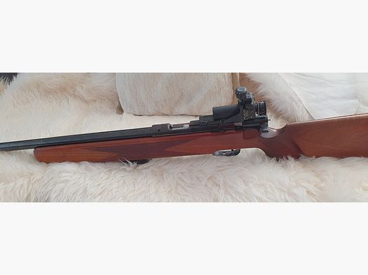 KK Anschütz sports shooting rifle .22 and SP Walther