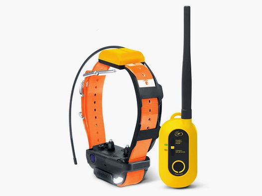 Collier GPS et dressage Dogtra PATHFINDER2