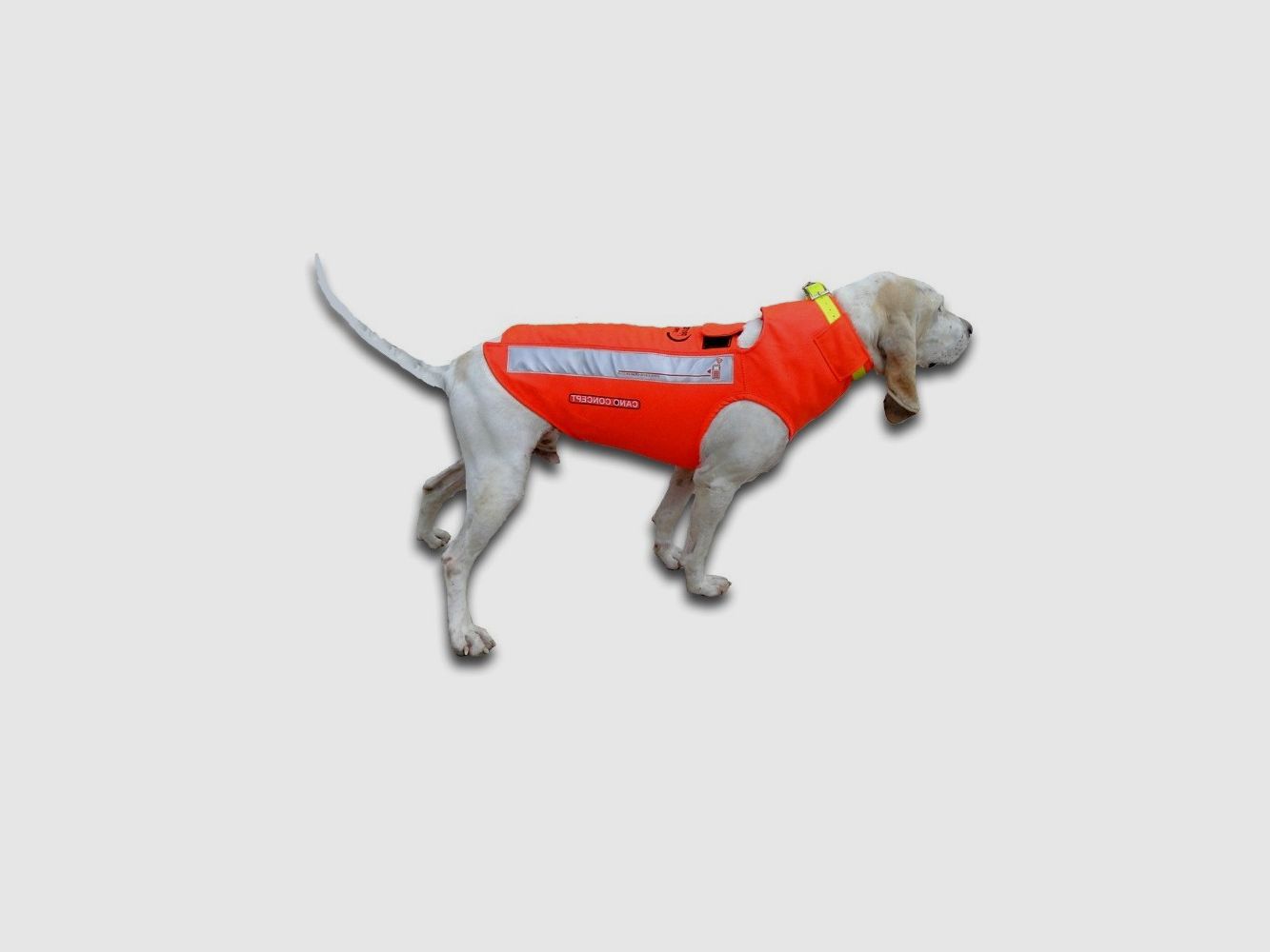 PROTECTION VEST FOR DOG BROWNING HUNTER M/F, image 6 of 6