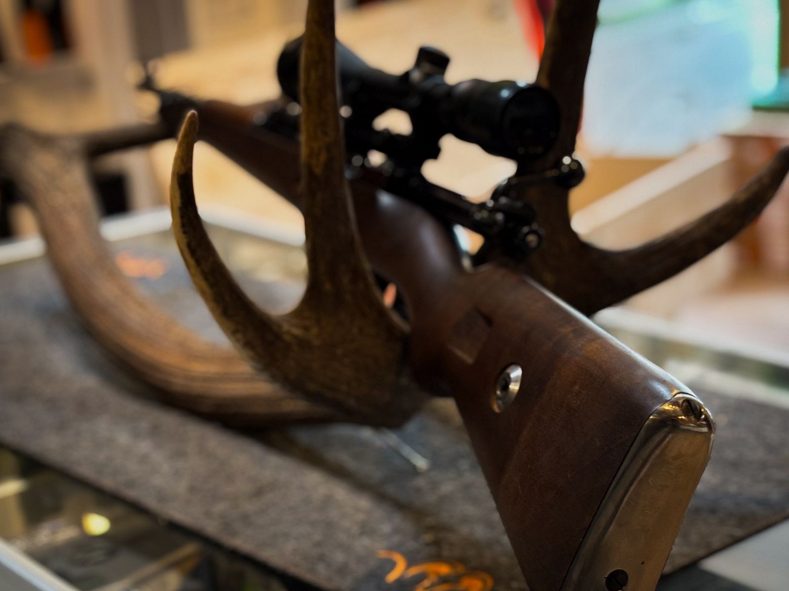 Mod. 98 
